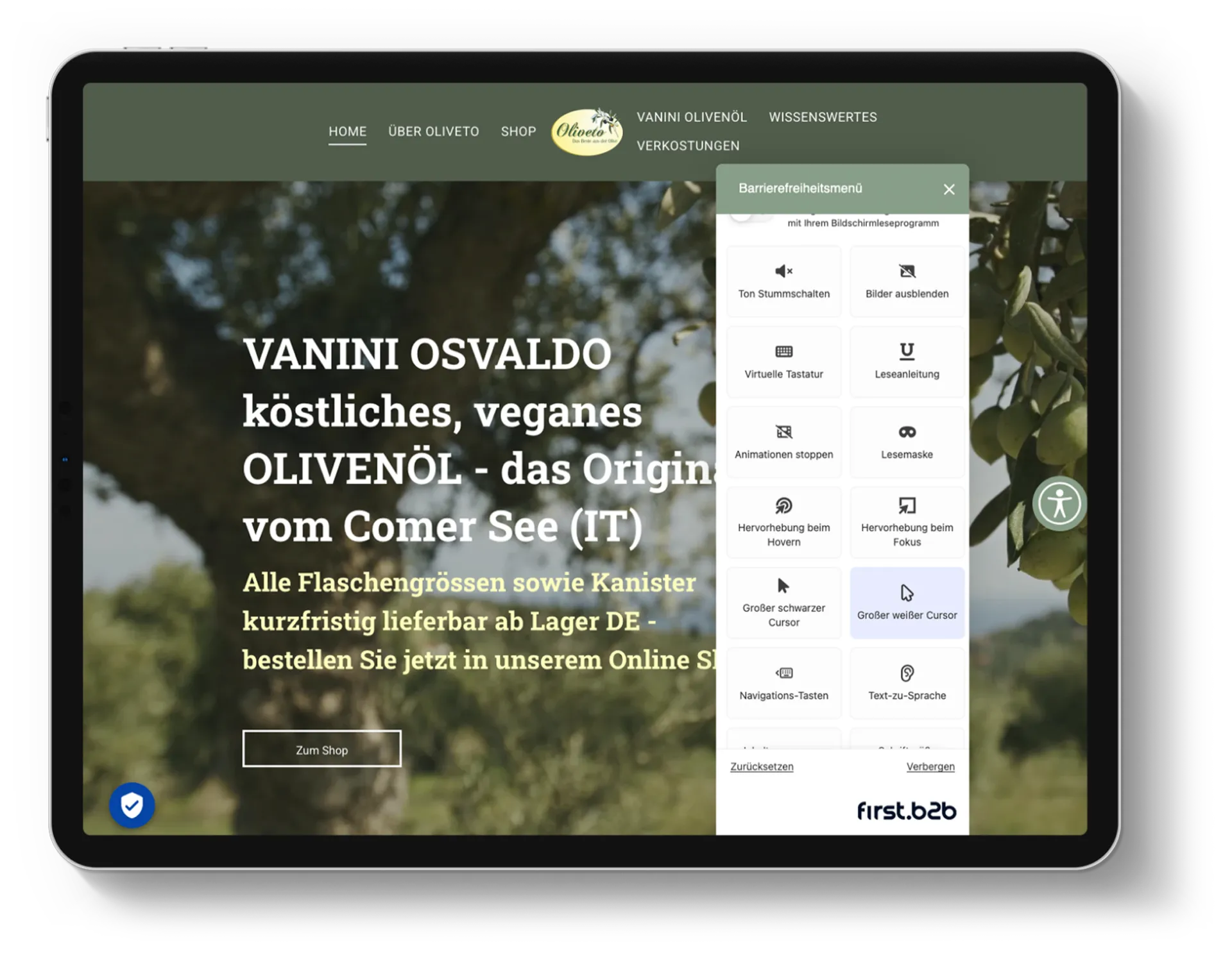 First-B2B-Barrierefreiheitsmenue-Muster-Internetseite-Deutschland-Unternehmen-VANINI Tablet Computer mit Beispielansicht des Barrierefreiheits-Menüs