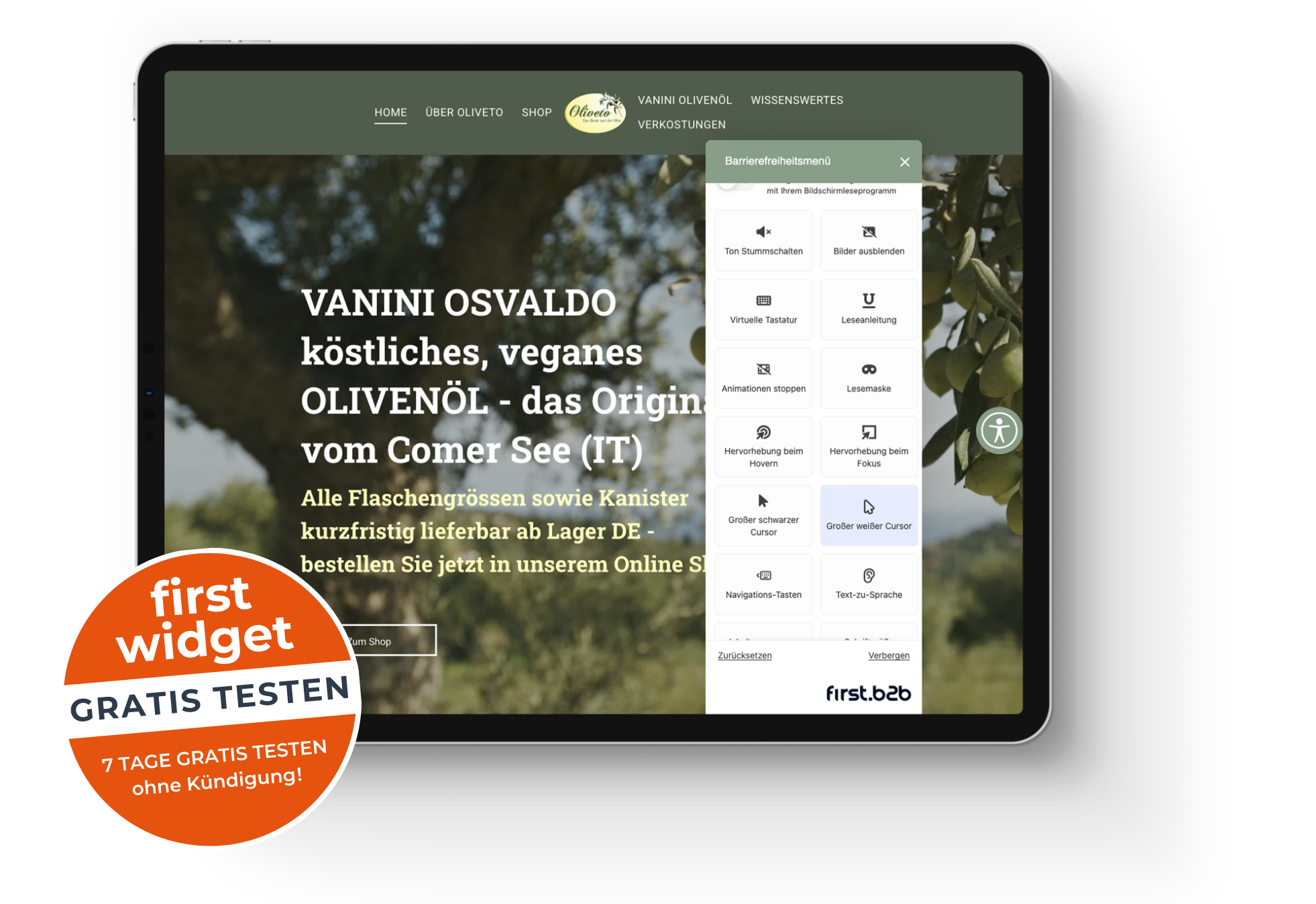 First-B2B-Barrierefreiheitsmenue-Muster-Internetseite-Deutschland-Unternehmen-VANINI-Gratis-Testen Tablet Computer mit Beispielansicht des Barrierefreiheits-Menüs